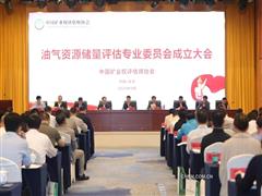 加快构建油气储量市场服务体系
